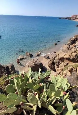 Vue * Sete
